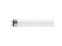 LAMPADA FLUORESCENTE 20W MUNDILUX T8