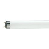 LAMPADA FLUORESCENTE 20W MUNDILUX T8